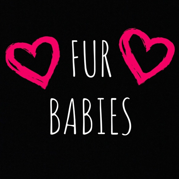 Smoke-free, pet friendly home! - Picture 1 of 5